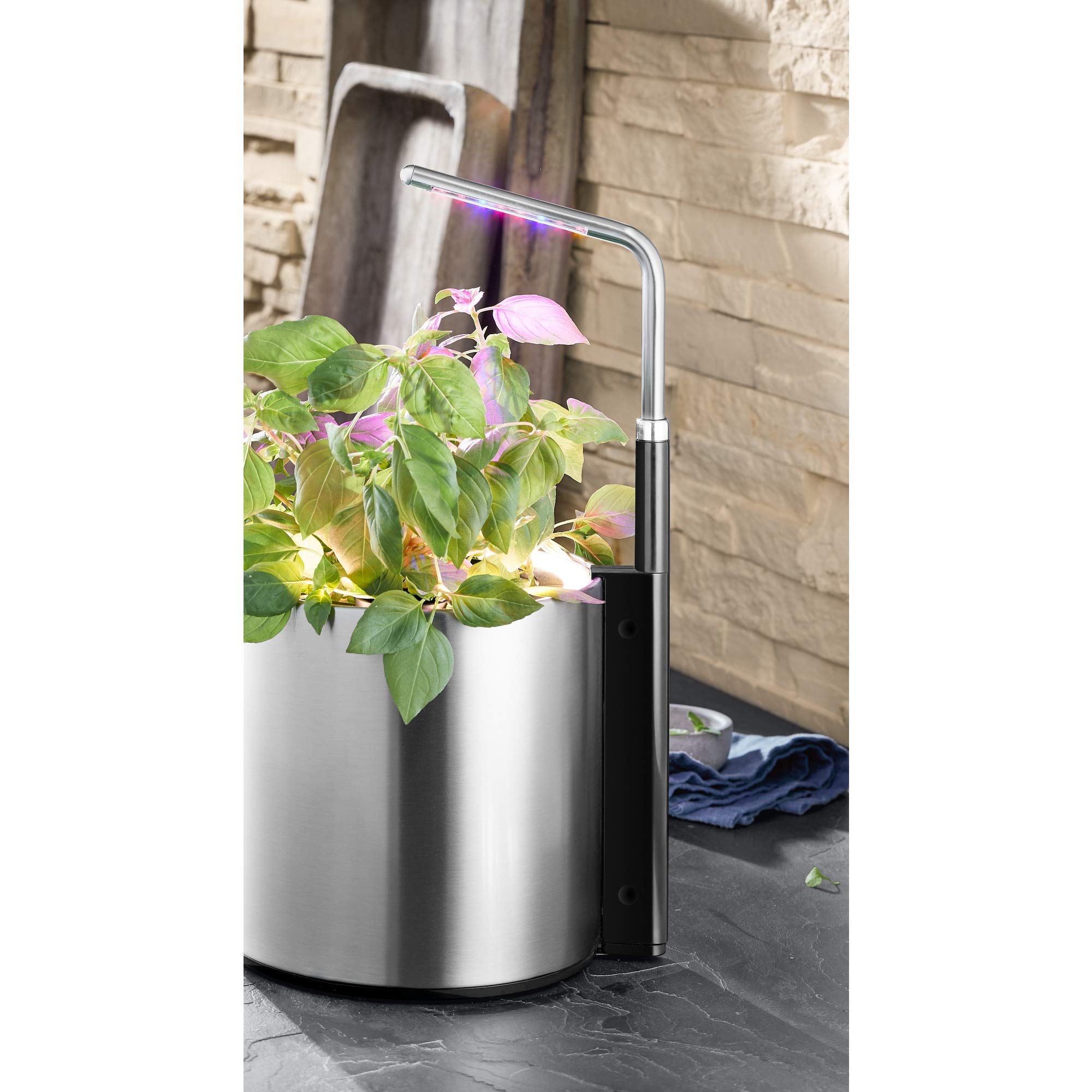 WMF Ambient - Lámpara LED para plantas (18 cm de altura, altura regulable, iluminación para plantas