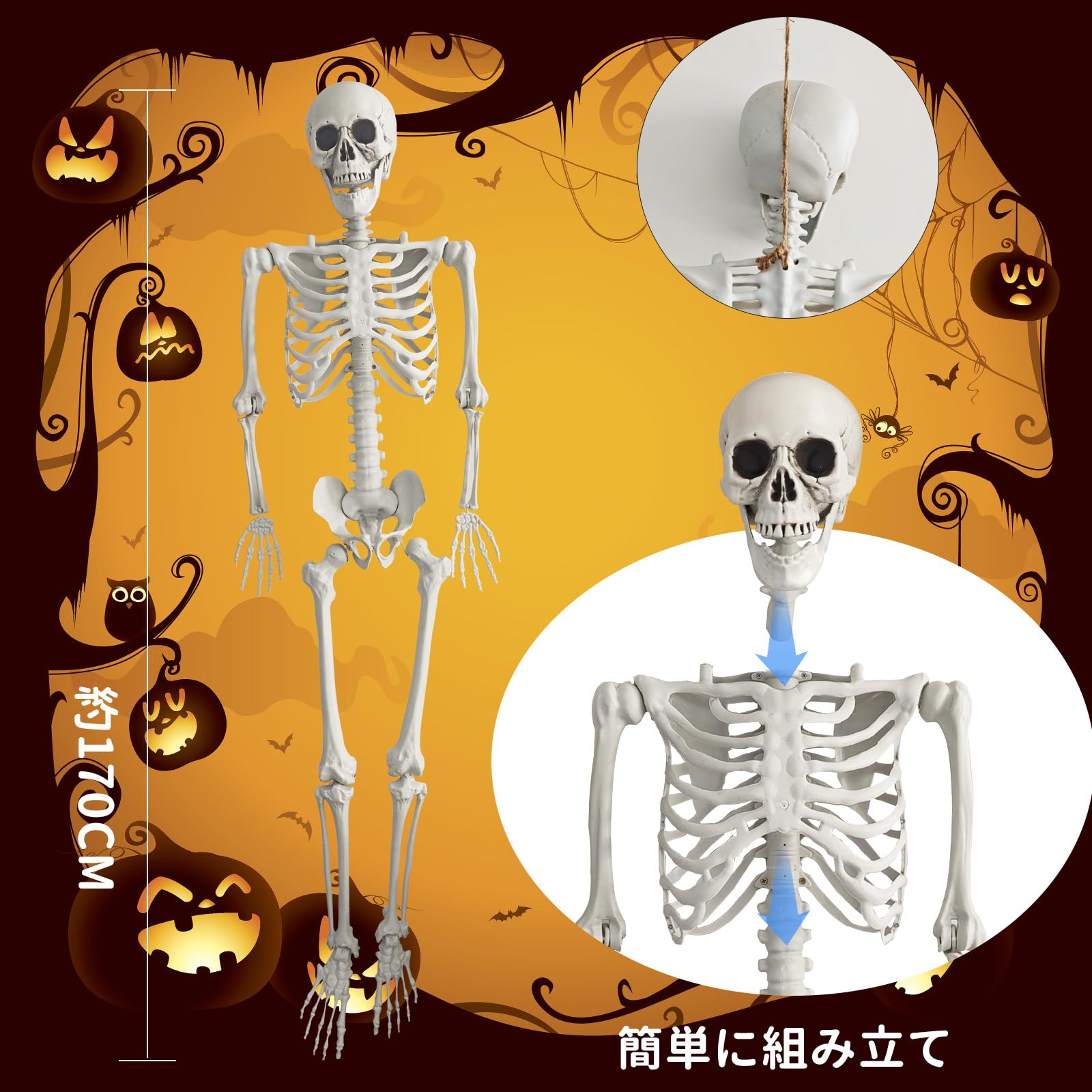 等身大165cm 全身骨格模型 骸骨 ハロウィン 飾り 店舗装飾 レプリカ 撮影 Amazon.co.jp: 等身大165cm 全身骨格模型 骸骨 ハロウィン 飾り