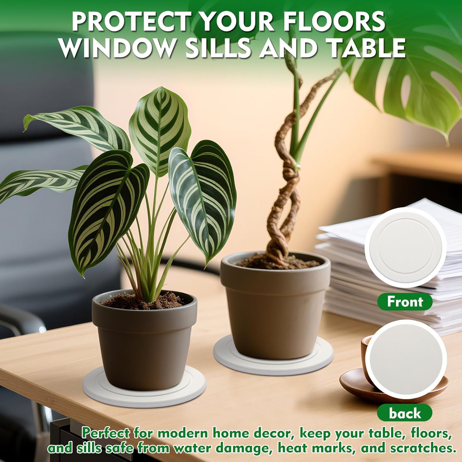 6 Inch Plant Saucers for Indoors, 2 Pack Round Diatomaceous Earth Plant Saucer Set, Instant Dry Absorbent Plant Trays for Pots, Flower Pot Saucers for Keeping Counter and Floors Dry and Clean (White) - Image 3
