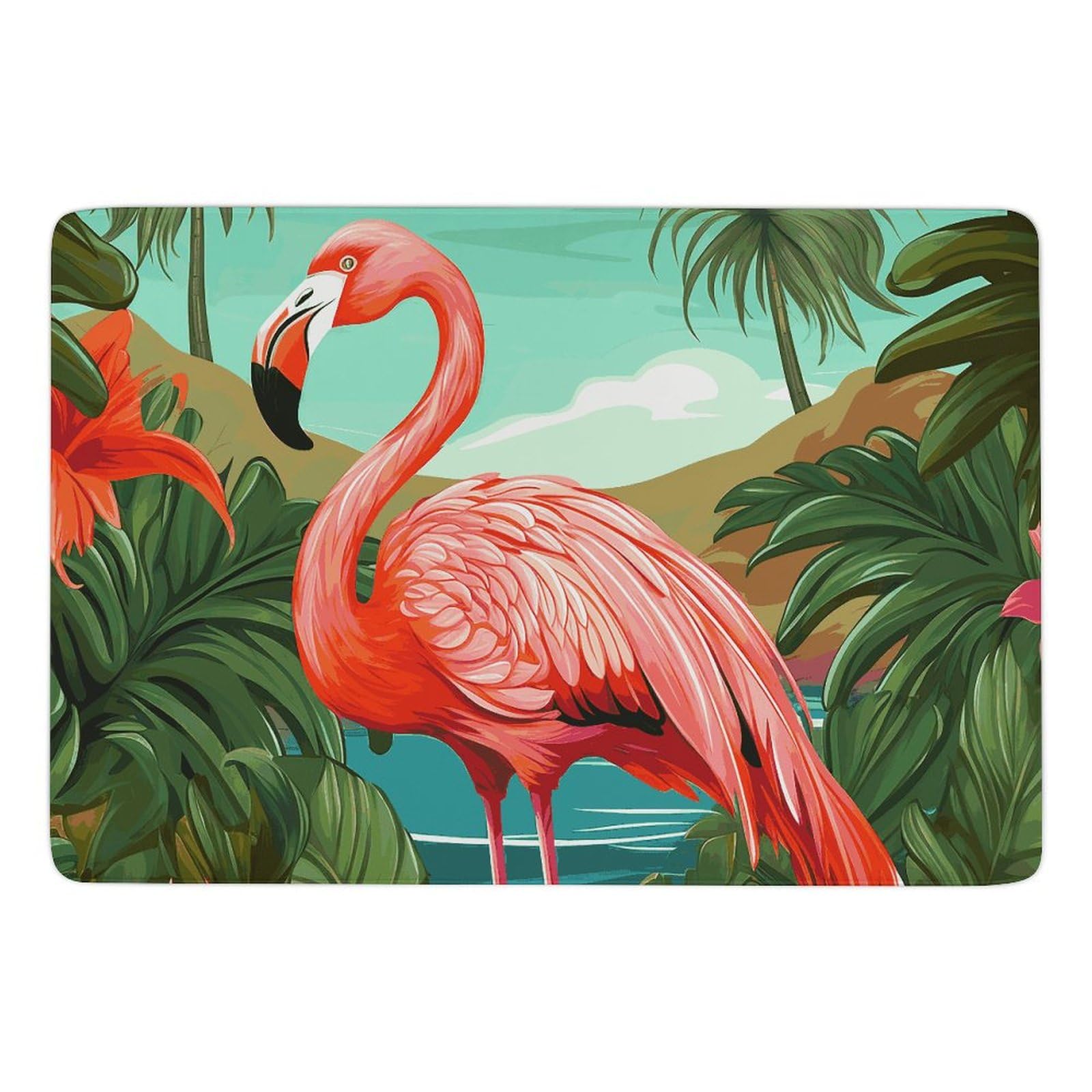 Tapis de bain antidérapant grand format absorbant et lavable en velours