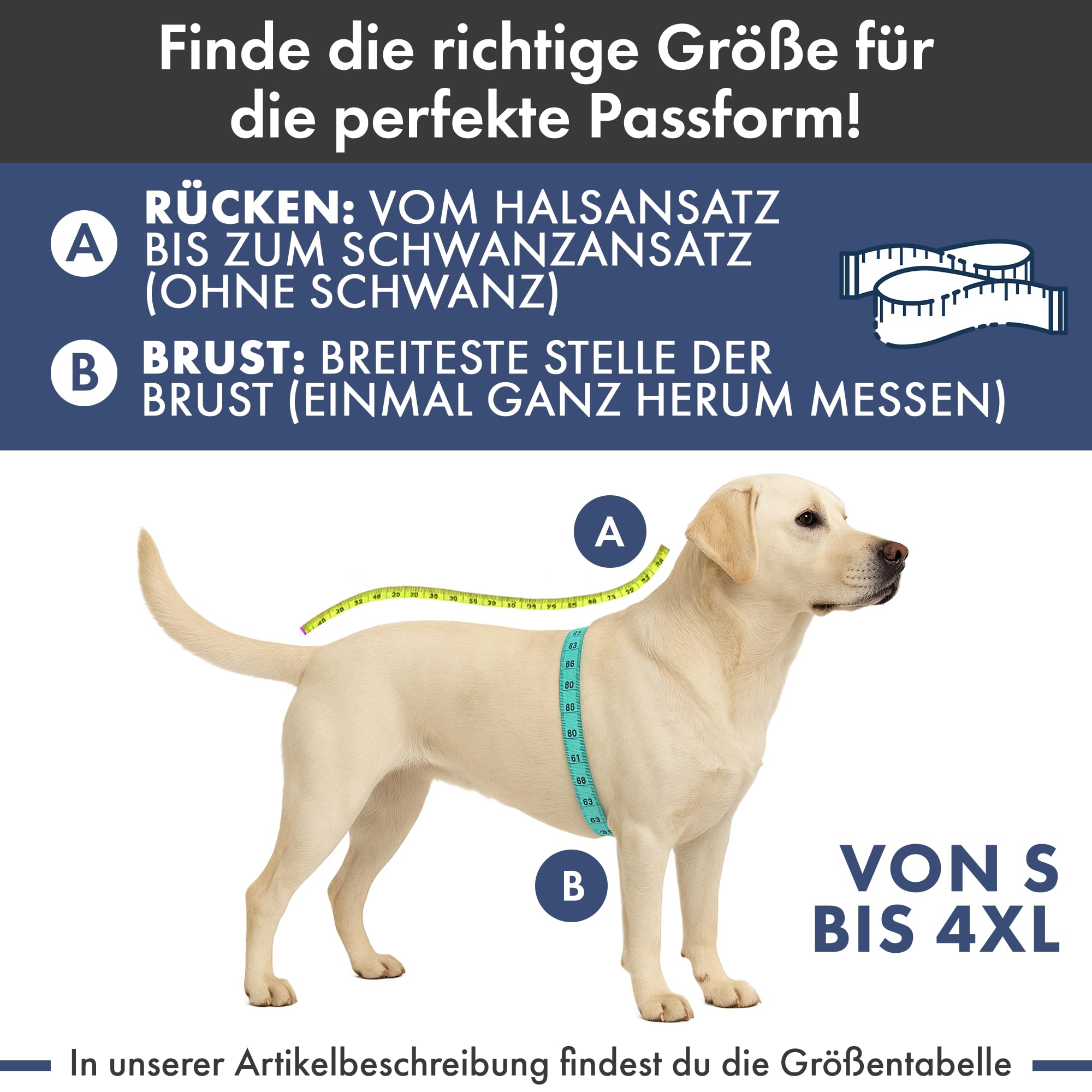 Spark Paws Weihnachts Hundepullover – Weicher Strickpullover für kleine, mittlere & große Hunde – Süßer, Warmer Hundepullover für French Bulldogs & große Hunde, (Dasher Red, M)