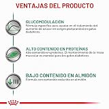 Ver la foto 6