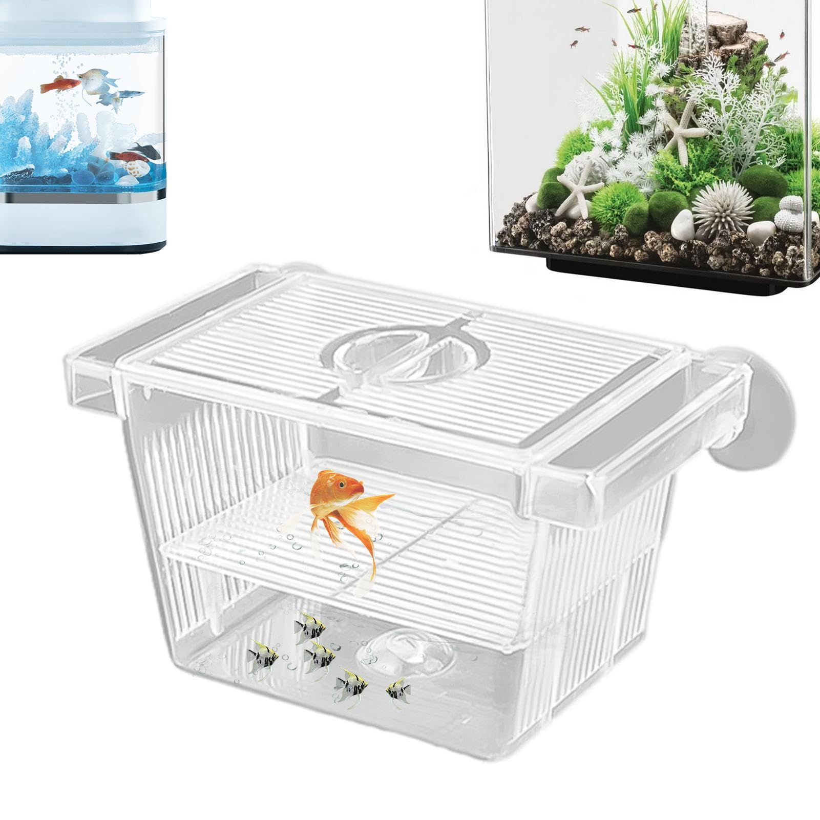 Aquarium Fish Breeding Box, Transparent Acrylic Hatchery Incubator Tank, Large Size Isolation Box with 2 Suction Cups for Small Fish, Shrimp, Betta, and Guppy
