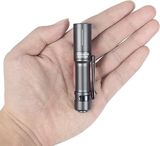 ThruNite EDC Flashlight Archer Mini, 405 Lumens Tail Switch LED Flashlight, USB C Rechargeable Little Pocket Penlight for Camping, Outdoor, and Emergency - Neutral White
