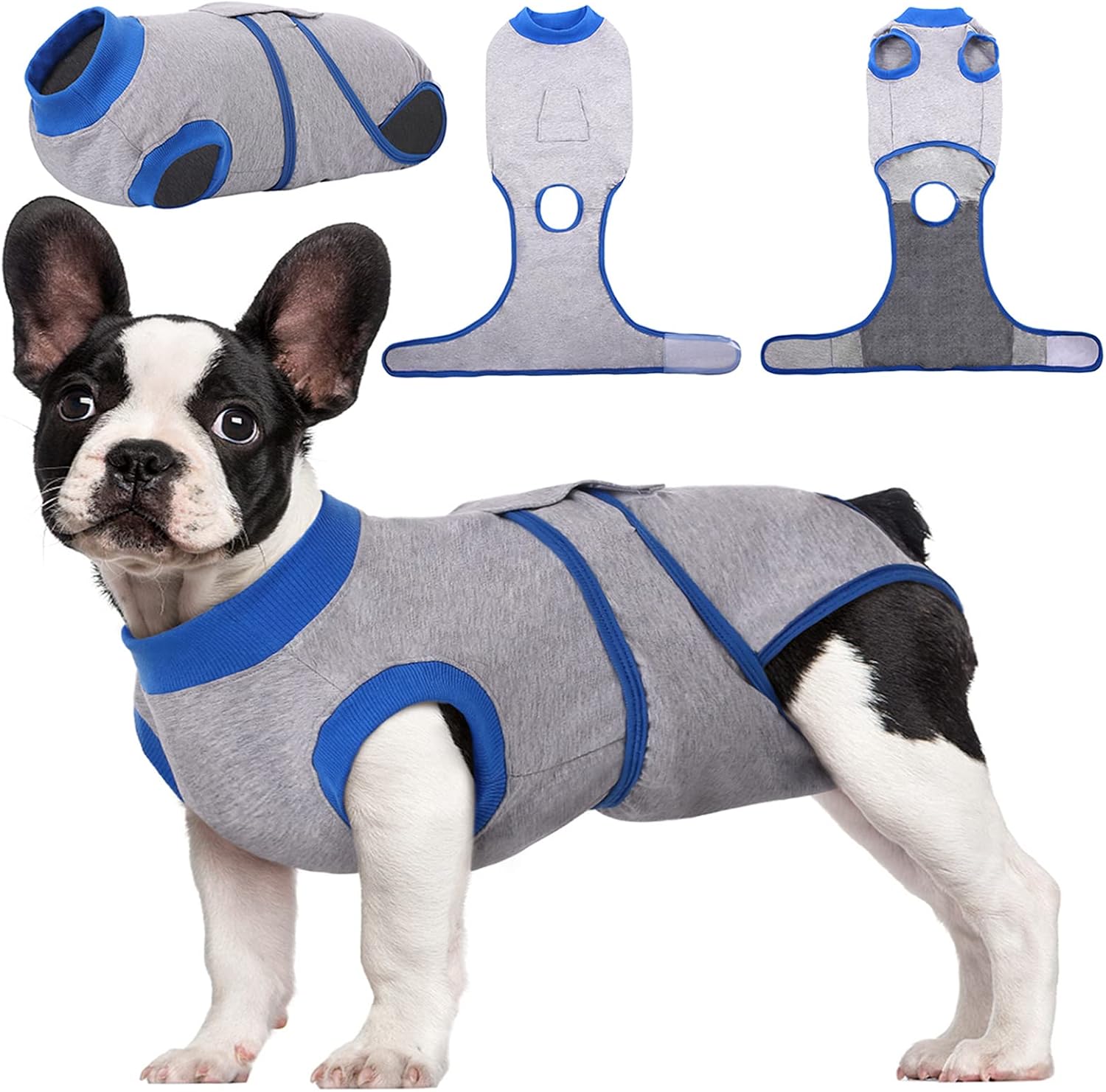 Manchon De Récupération Pour Chien En Néoprène – Après Chirurgie Ou Blessure – Protection De Plaie Et Compression – Taille XS à XL – Velcro Réglable – Confortable Et Respirant