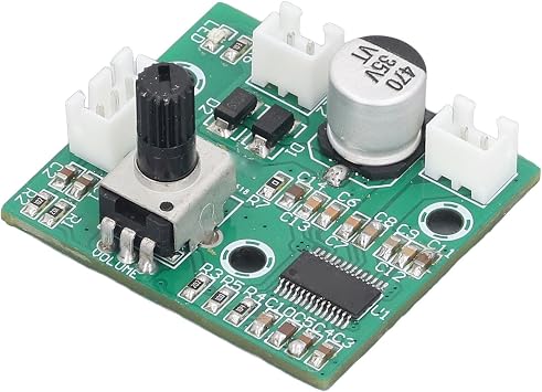 Mini Mono High Power Amplifier Module, 60W Mini Mono High Power Amplifier Module, HIFI Digital Small with Low Heat, Controls