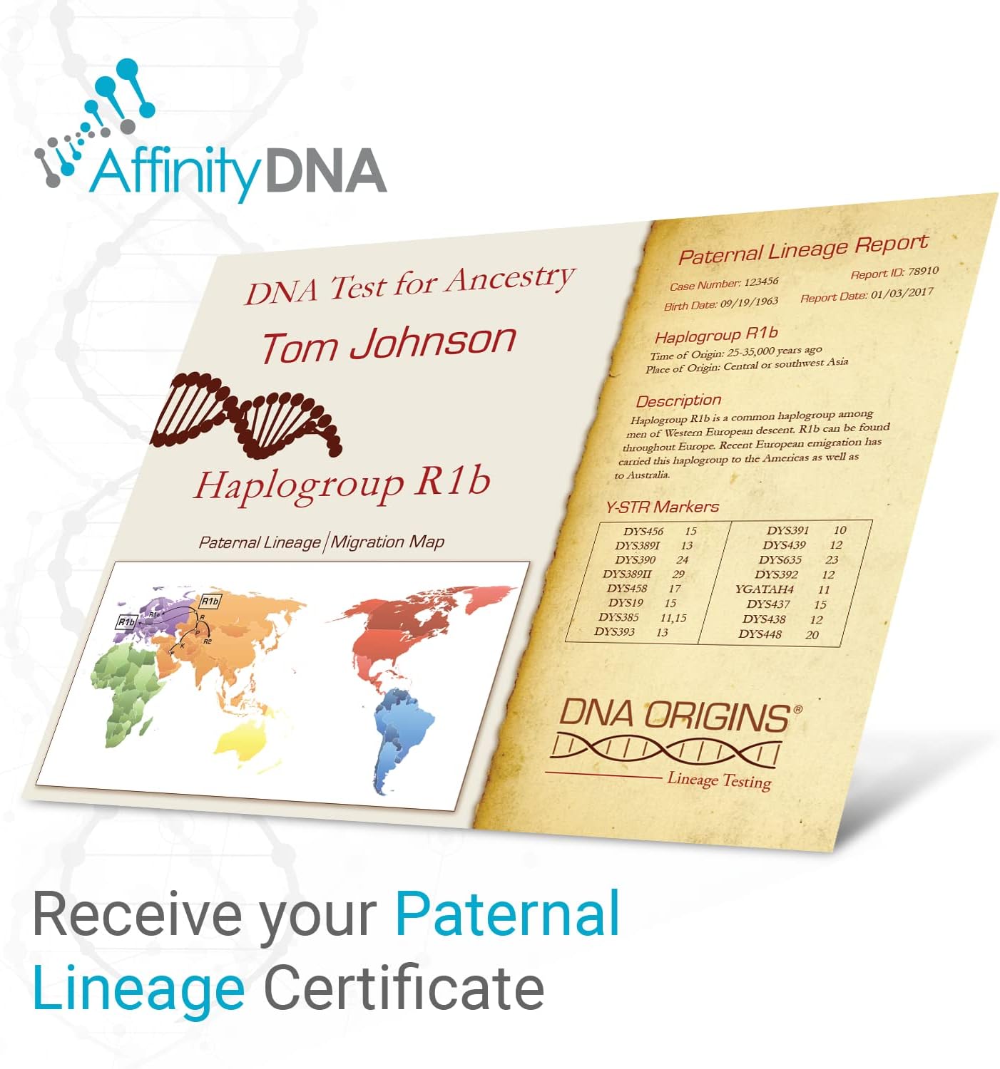 Paternal Lineage Ancestry DNA Testing Kit – Discover Your Y-STR Haplogroup – Results in 6-7 Weeks - Home DNA Sample Collection Kit