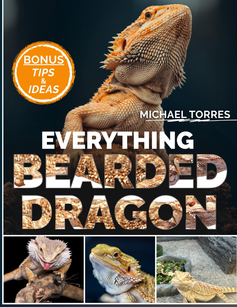 EVERYTHING BEARDED DRAGON