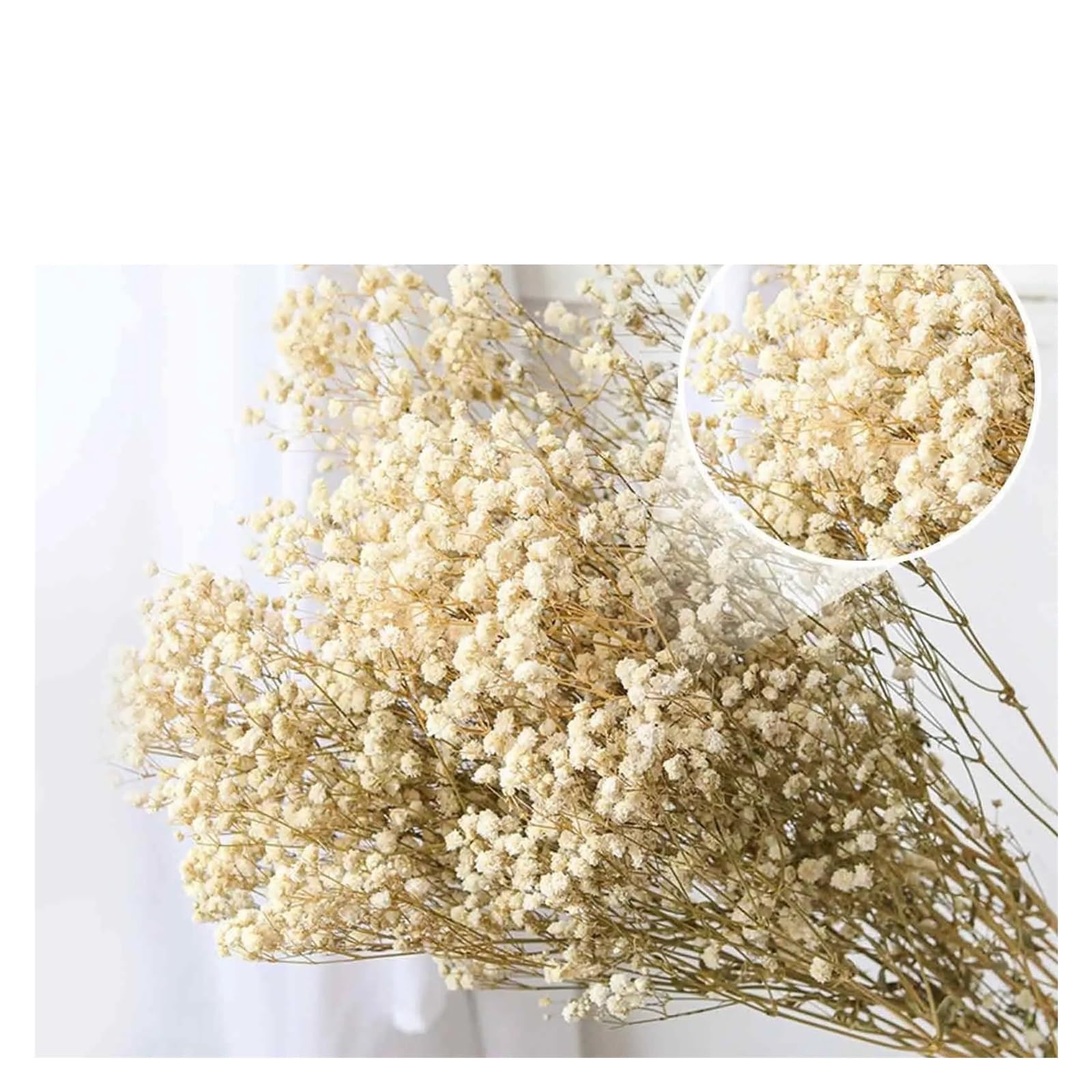 gypsophile séché Bouquet de Fleurs Gypsophila séchées for bébé, décoration Mariage, Maison(Multicolour,140g)