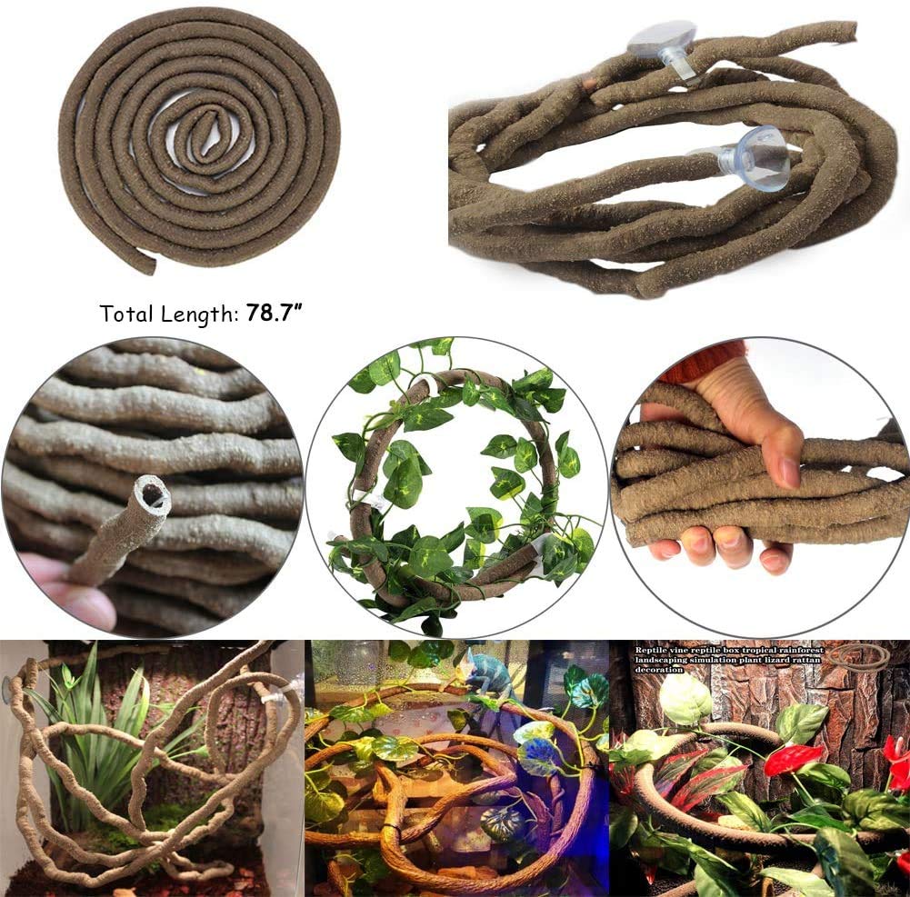 Reptilien-Kletterbrücke Aus Bambus – 30,5 Cm, Mit Saugnäpfen, Für Terrarien & Geckos