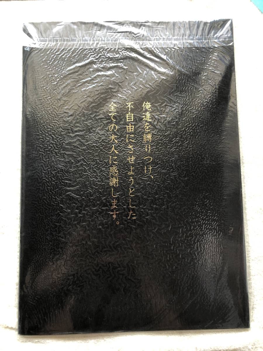 Amazon.co.jp: 氣志團 綾小路翔 氣志團現象最終章 ツアーパンフレット