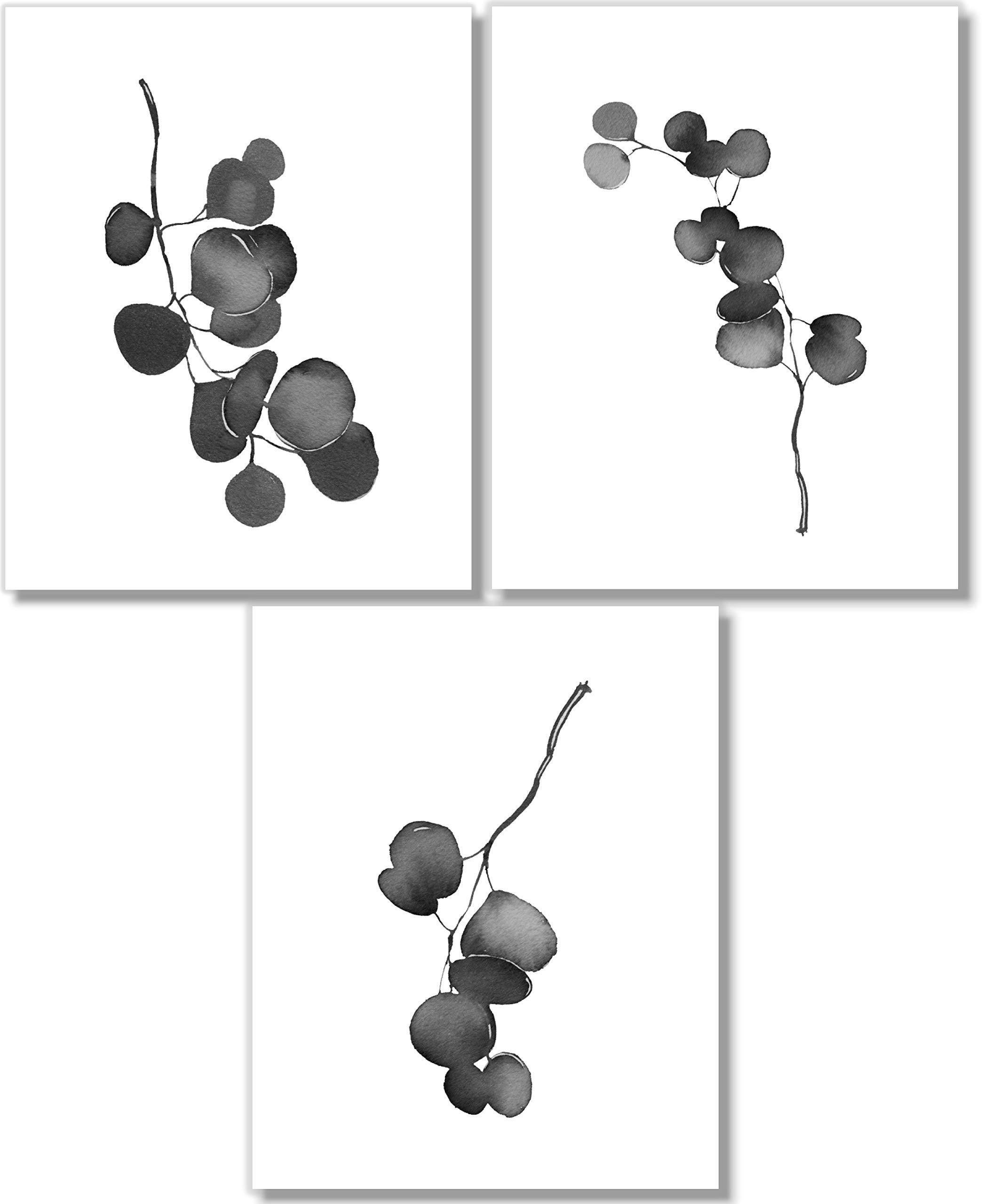 Black And White Wall Art - Eucalyptus Leaves - Botanical Art Prints - Minimalist Pictures - Set of 3-8x10 - Unframed