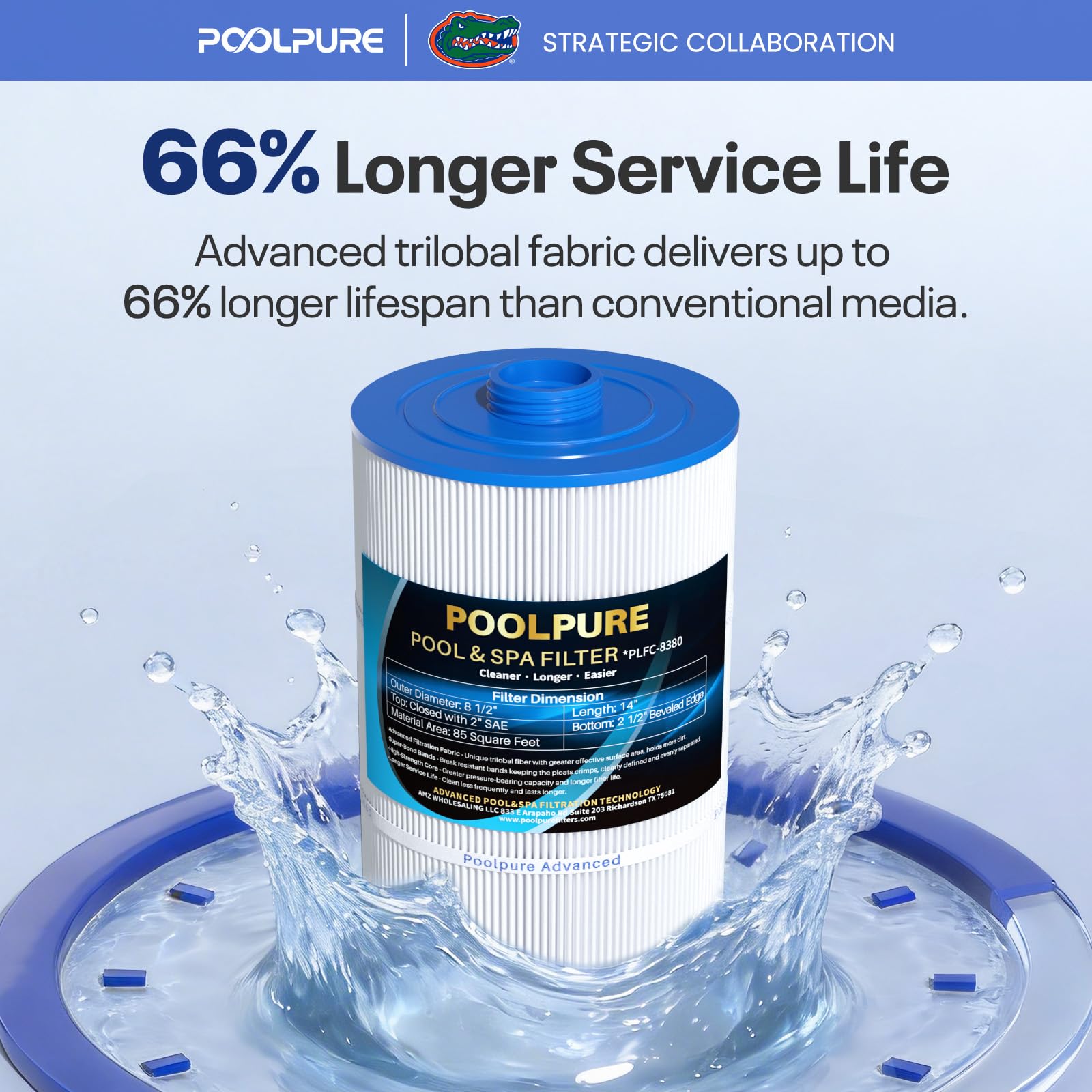POOLPURE Filtre de Rechange pour Sundance 6540-501, PSD85-2002, Unicel C-8380, Filbur FC-2810, Excel Filters XLS-840, Aladdin 18007, Baleen AK-70031, Magnum SU80, 85 m², Longueur : 35,6 cm. cm