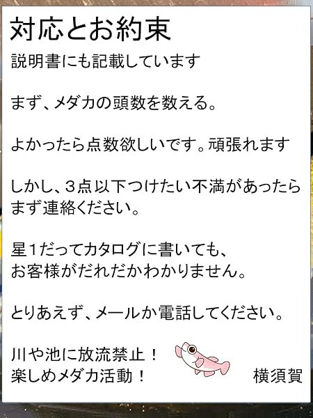 ともちゃんのメダカ屋さん】メダカ 生体 めだか 販売 稚魚 (深海) - 4