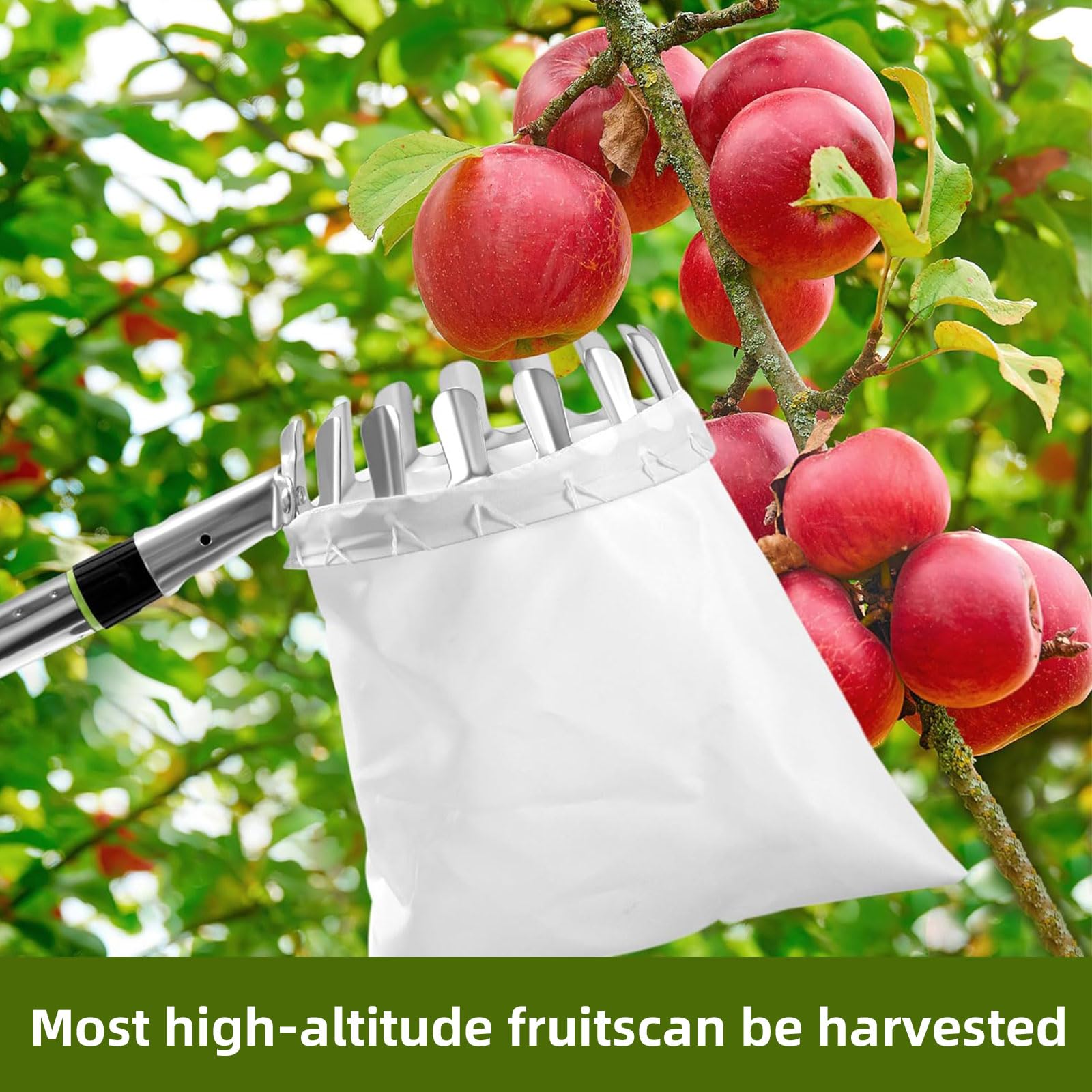 2.8m Raccoglitore Frutta Telescopico, Raccogli Frutta da Albero Acciaio Inox Leggero, Attrezzo Raccogli Frutta con Borsa in Cotone, Raccoglifrutta Regolabile in Mele