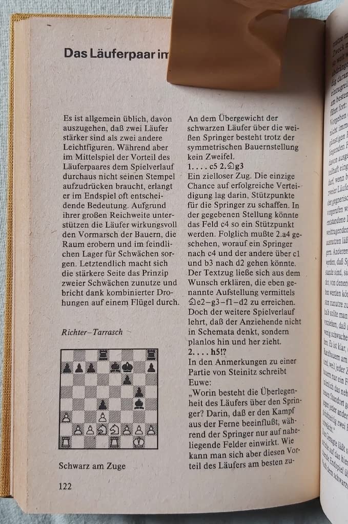 Strategie der Schachendspiele