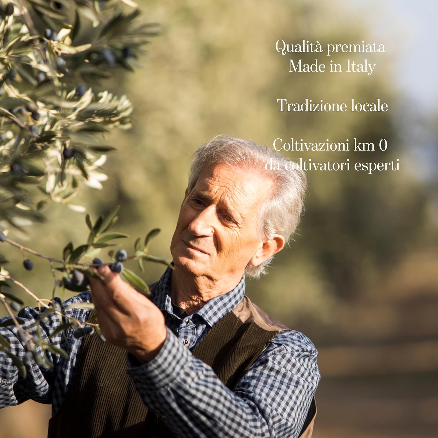 ALBORI Soave - Olio Extravergine di Oliva Italiano 5 Litri NUOVO 2025/2026 Estratto Freddo, Olio di Oliva con Olive Leccino e Peranzana Delicato per Pesce, Carne, Verdura, Box con Versatore Antispreco