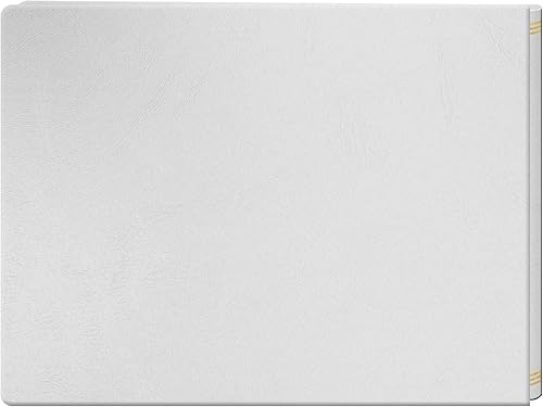 Miniatura 2 de Pioneer Jumbo álbum XPando con páginas magnéticas