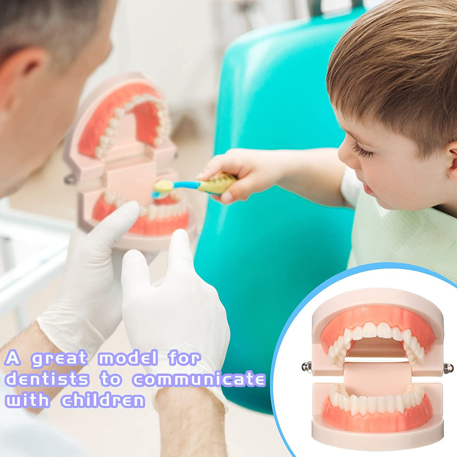 Modelo Dental de Demostración Estándar PVC para Adultos Niños Enseñanza Dental Cuidado Bucal con 2 Cepillo de Dientes