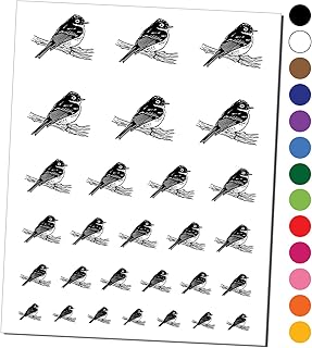 Phoebe Bird on a Branch Temporary Tattoo Water Resistant Fake Body Art Set Collection - Black (One Sheet)
