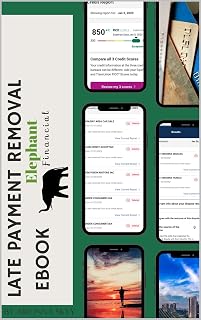 LATE PAYMENT REMOVAL EBOOK