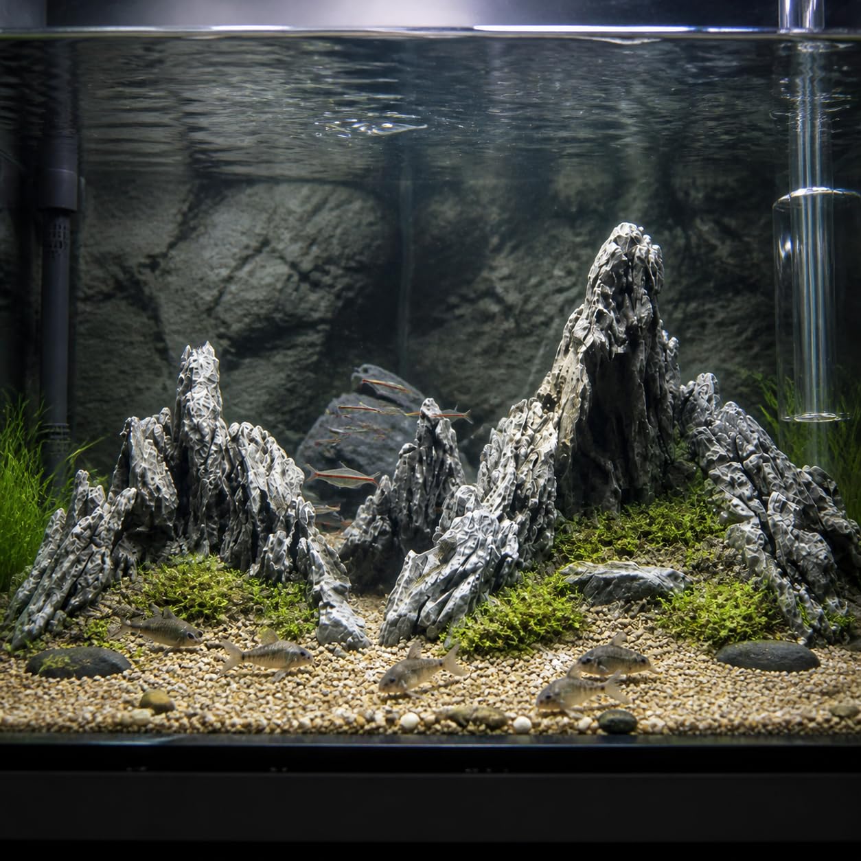 Aquariumration Aquascaping, 309·Für 30-40cm Becken, ohne Sand
