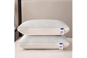 Plush Pillows for Unbeatable Sleep: Affordable Luxury Under $10