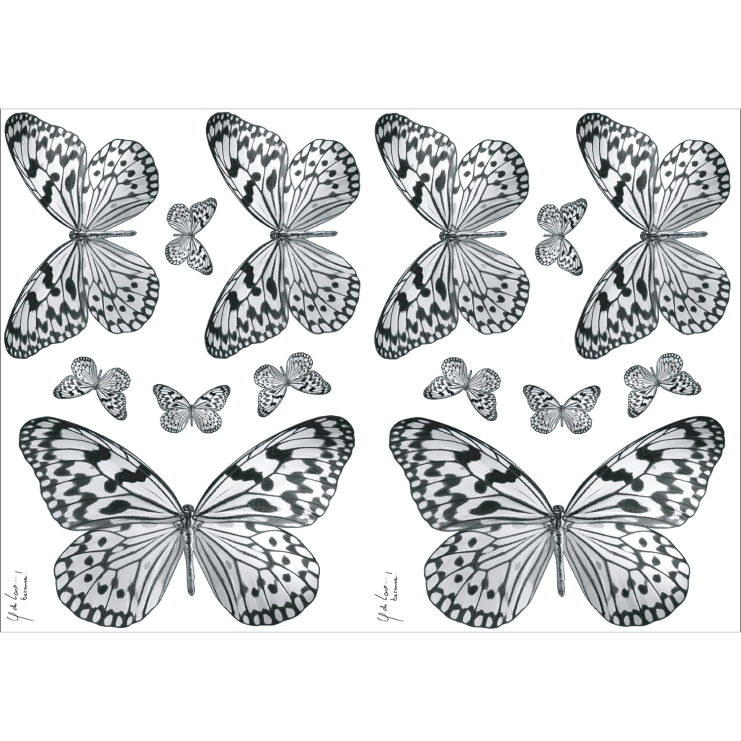 PLAGE 157049 Adesivi murali - Stickers-Farfalle in Bianco e Nero, 2 Fogli, 29,7 x 21 cm