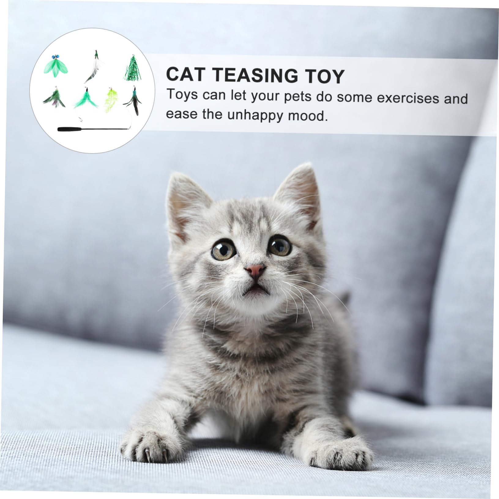 INOOMP 24pièces Kit De Jouets Interactifs pour Chats avec De Plume Et Accessoires Amusants pour Chats Actifs
