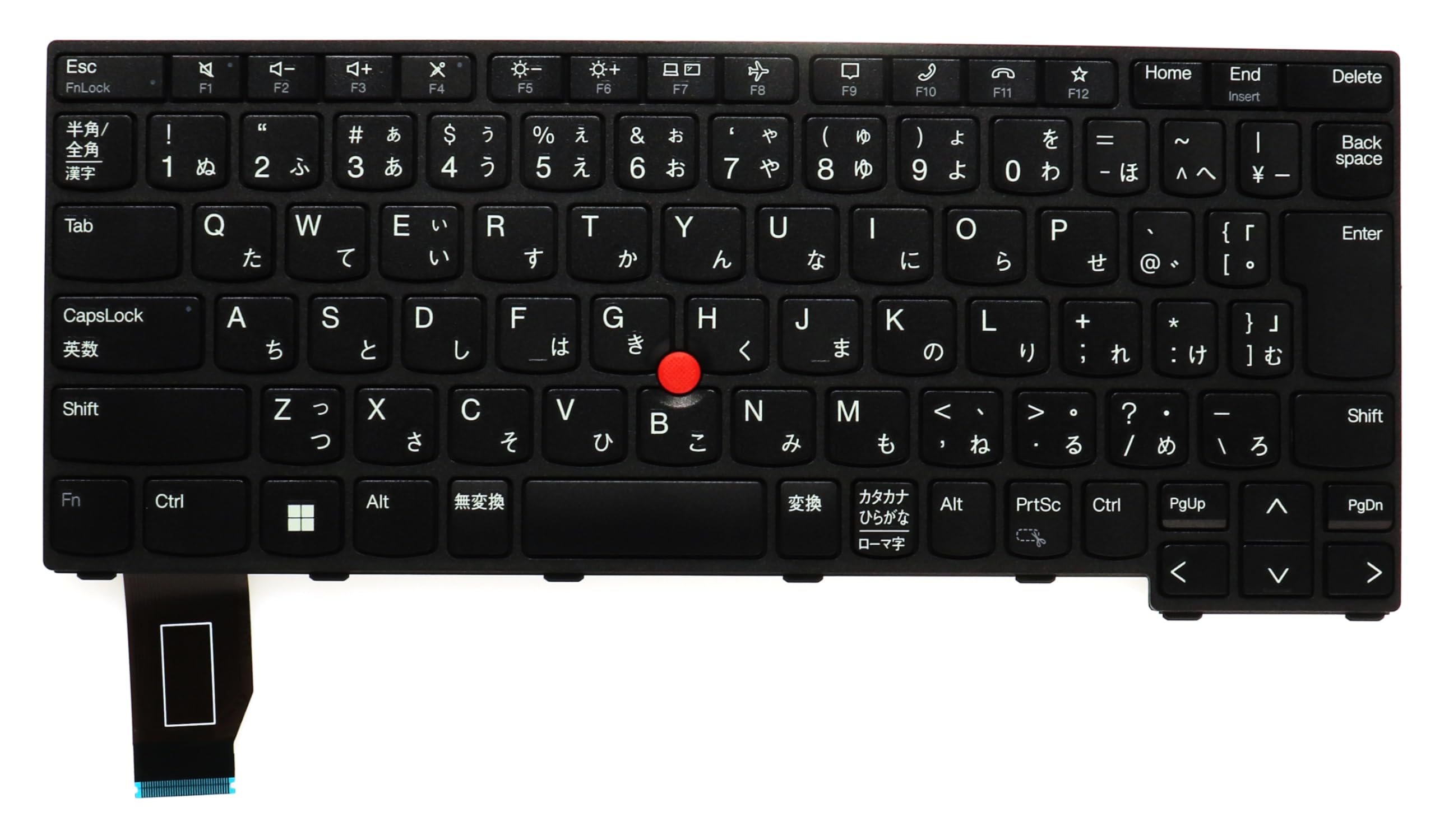 Amazon | iJungYee 純正品 バックライトなしの日本語キーボード