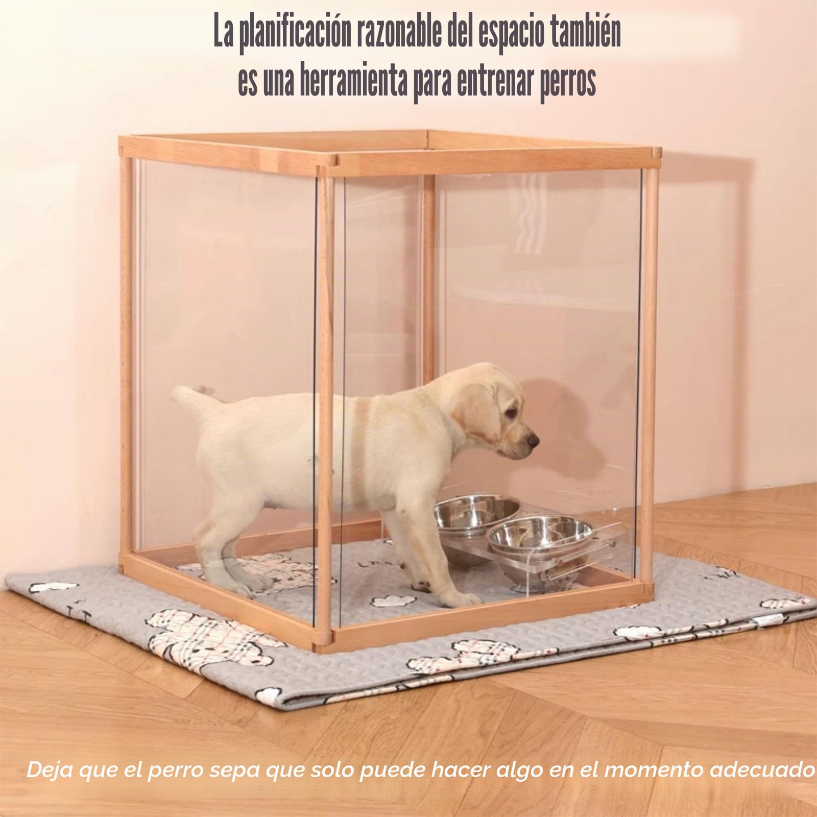 Parque para Perros Transparente, Parque para Perros de plástico acrílico Transparente para Interiores, Parque para Perros de acrílico, para Cachorros, Gatos, Conejos(Big Door,12 Pieces)