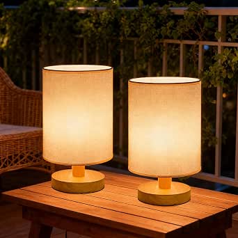 Small Table Lamp Set of 2, Bedside Nightstand Lamps, 3000K Warm Light, USB Powered LED Reading Lamps, Boho Vintage Style for Bedroom, Living Room, Office, Dorm