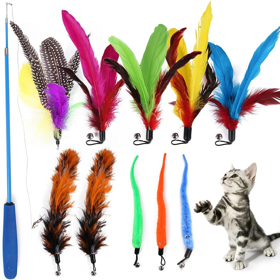 Qpets® Cat Toys - Interactive 11 Piece Cat Toy Set with Retractable Wands and Feather Worm Toys - Kitten Variety of Vibrant Colours Activity to Exercise Cats and Kittens
