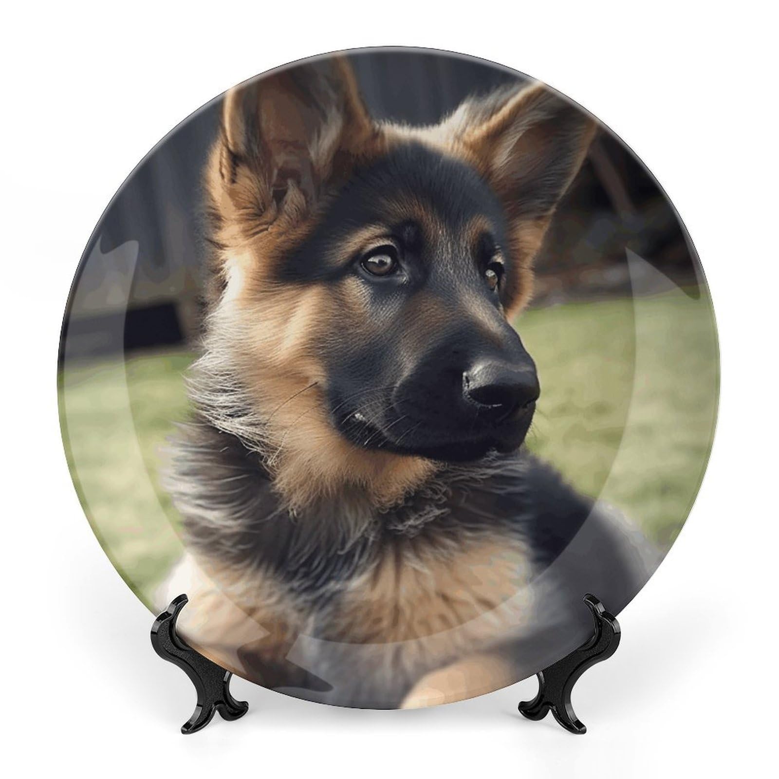 Plato de porcelana de cachorro de pastor alemán para regalo de oficina