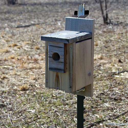 Miniatura 6 de Paquete de 8 soportes para poste en T de 3 pulgadas para letreros o cercas