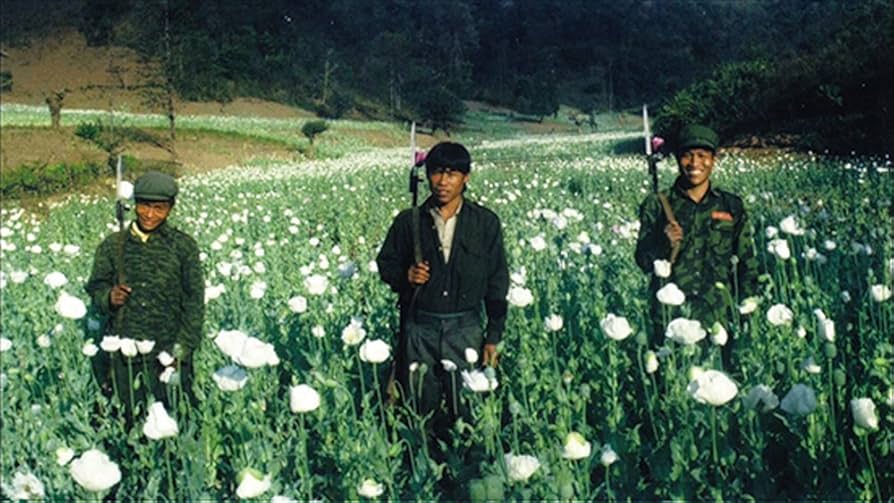 Amazon.co.jp: クレイジージャーニー vol.5 [DVD] : 松本人志, 設楽統