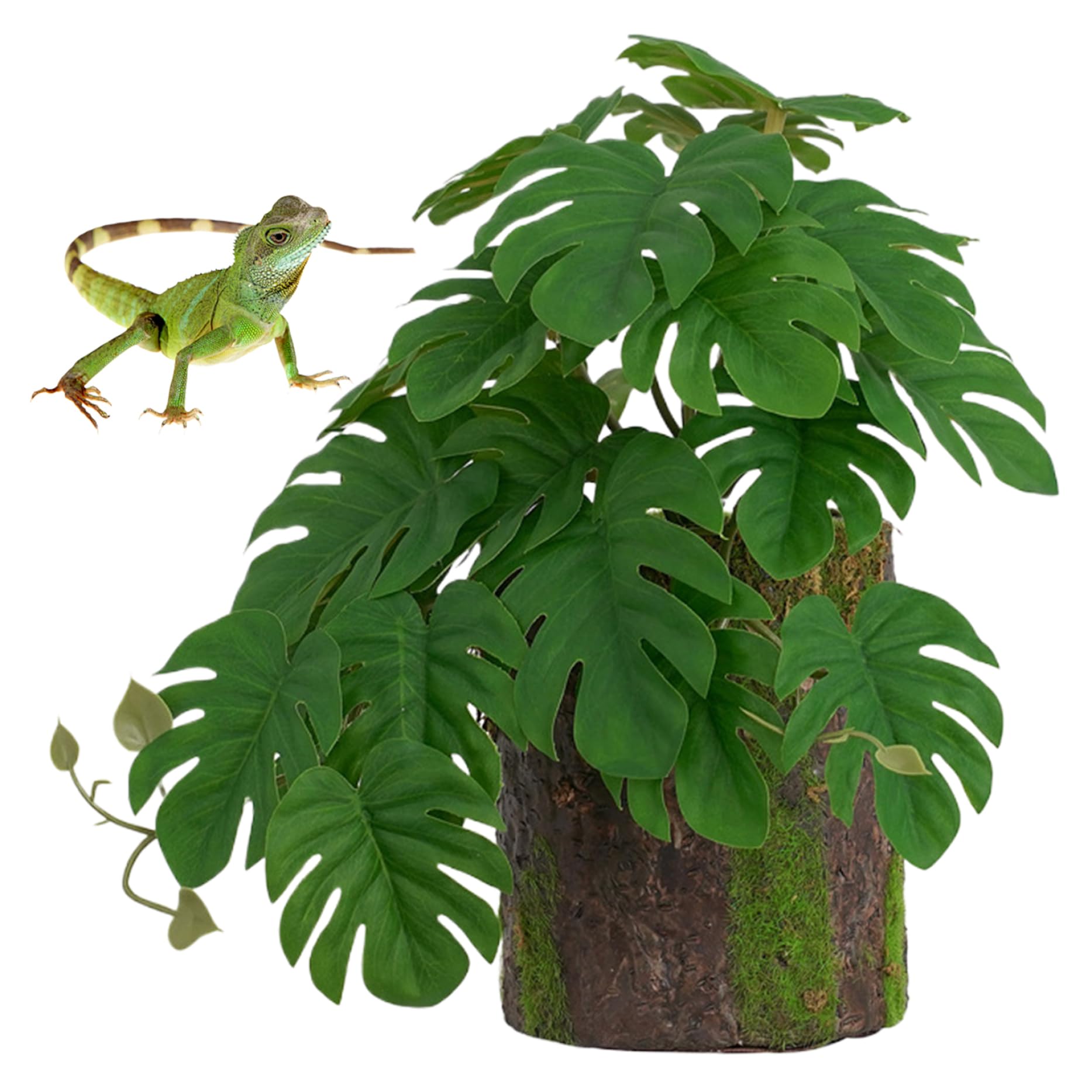 Plantes de Terrarium, Plantes Reptiles Fausse Plante de monstrea avec décoration de souche d'arbre