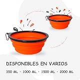 Ver la foto 6