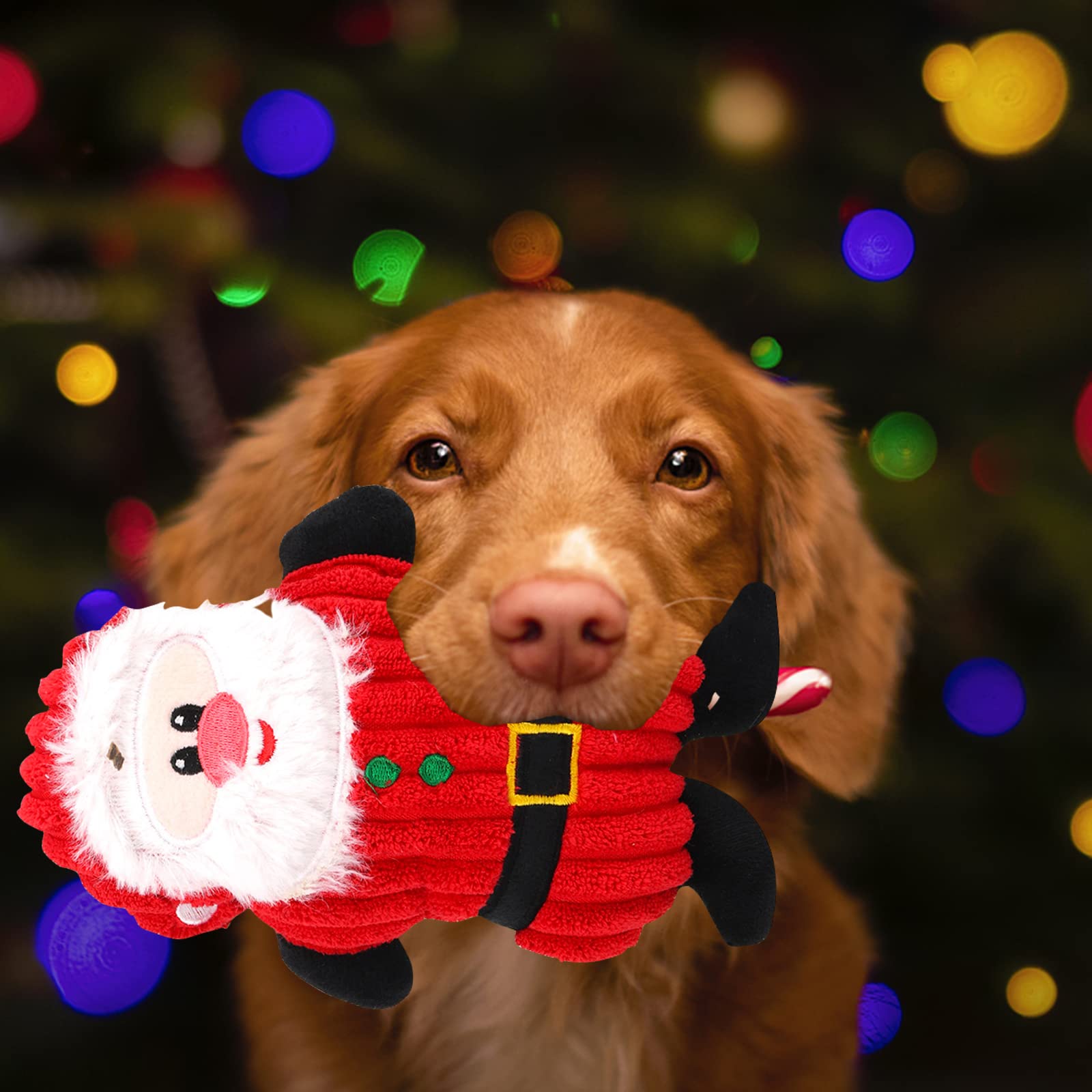 TONYFY Hondenspeelgoed, piepspeelgoed voor honden met kreukelpapier, pluche kauwspeelgoed voor honden, interactief katoenen touw speelgoed voor puppy's, kleine honden