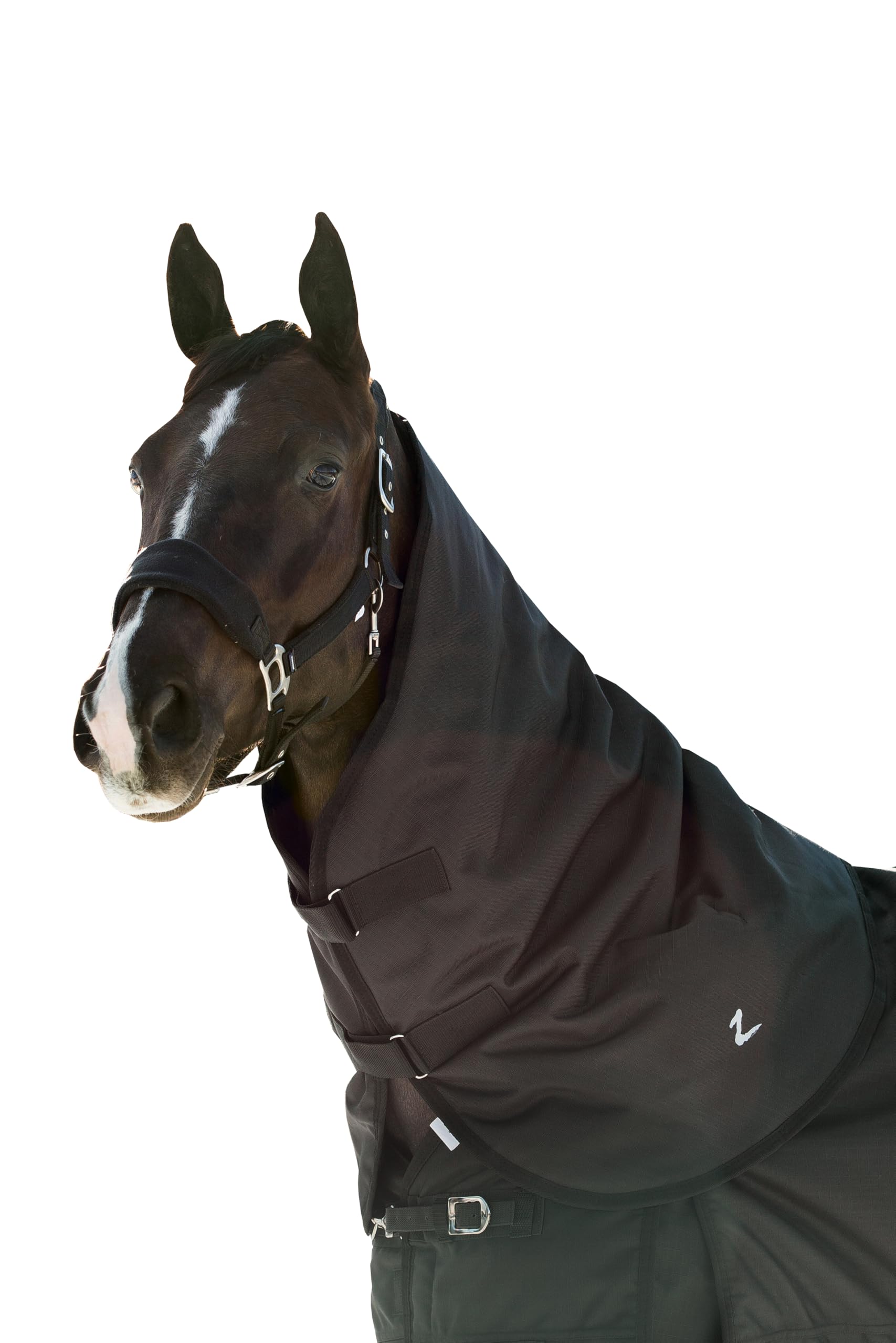 Amazon.com : HORZE Nevada Lightweight 1200D Waterproof Horse Rain