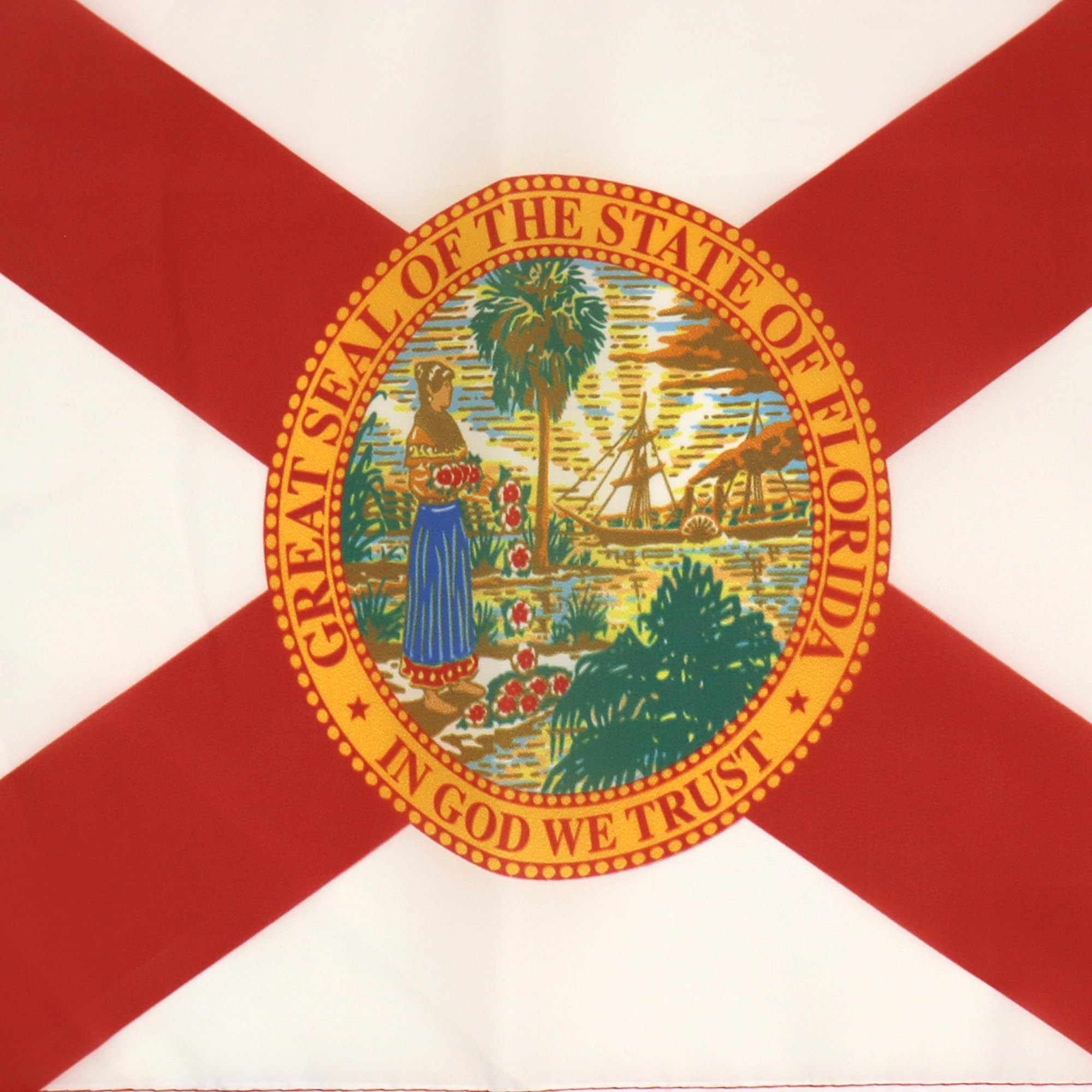 AZ FLAG, Florida Flag, 18'' x 12'', 100% Polyester US state of Floride Small Banner with Two Cords, Fade Resistant - Image 3