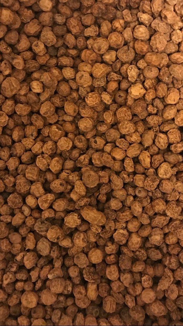 Chufa Seeds Nut Grass Nut Sedge Tiger Nut Cyperus Escalantus Seeds for Wildlife Food Plots Ducks Turkeys and Sprouts Micro Green Garden (2Lbs)