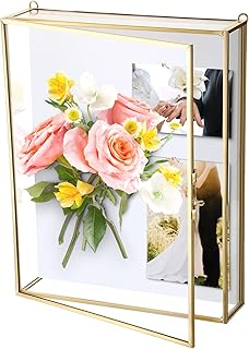 ELLDOO Shadow Box Frame 8x10inch - Glass Display Case with White Foam Ba...