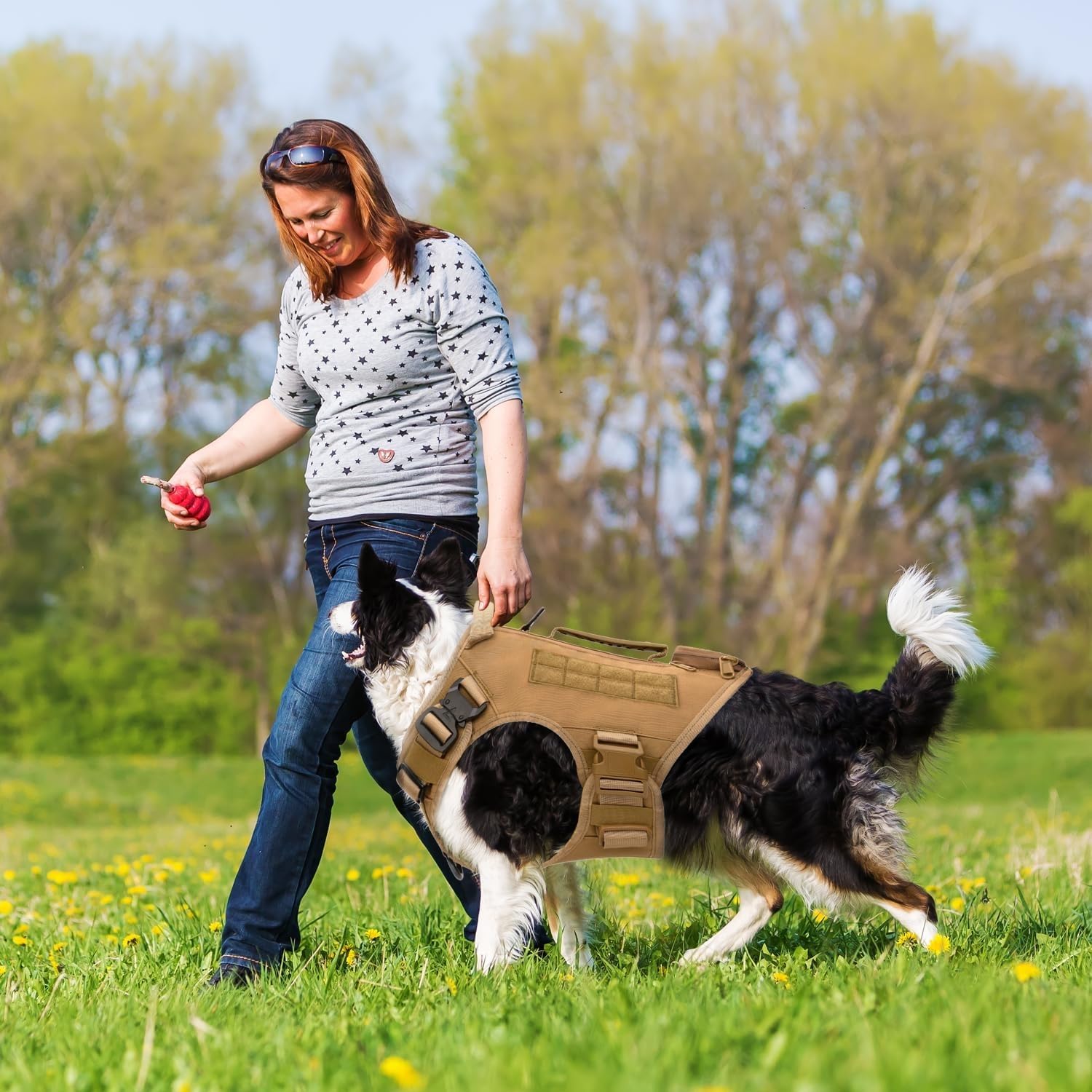 Arnés Táctico para Perros de Alta Resistencia, Antitirones para Perros Medianos y Grandes, Chaleco Ajustable con Asa Acolchada y Malla Transpirable para Entrenamiento, Caza y Paseo,Negro,M