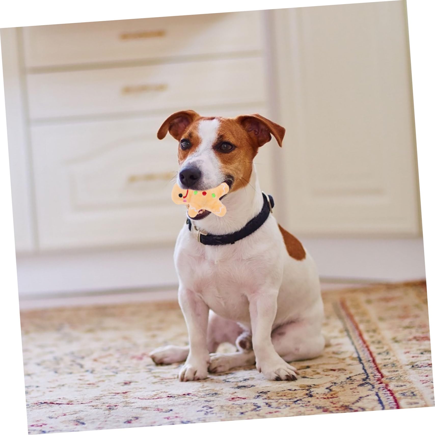 Jouet à Mâcher pour Chien Peluche De Noël Solide Résistant Aux Morsures Taille Moyenne pour Nettoyage des Dents Jouet Interactif D’intérieur pour Animaux De Compagnie