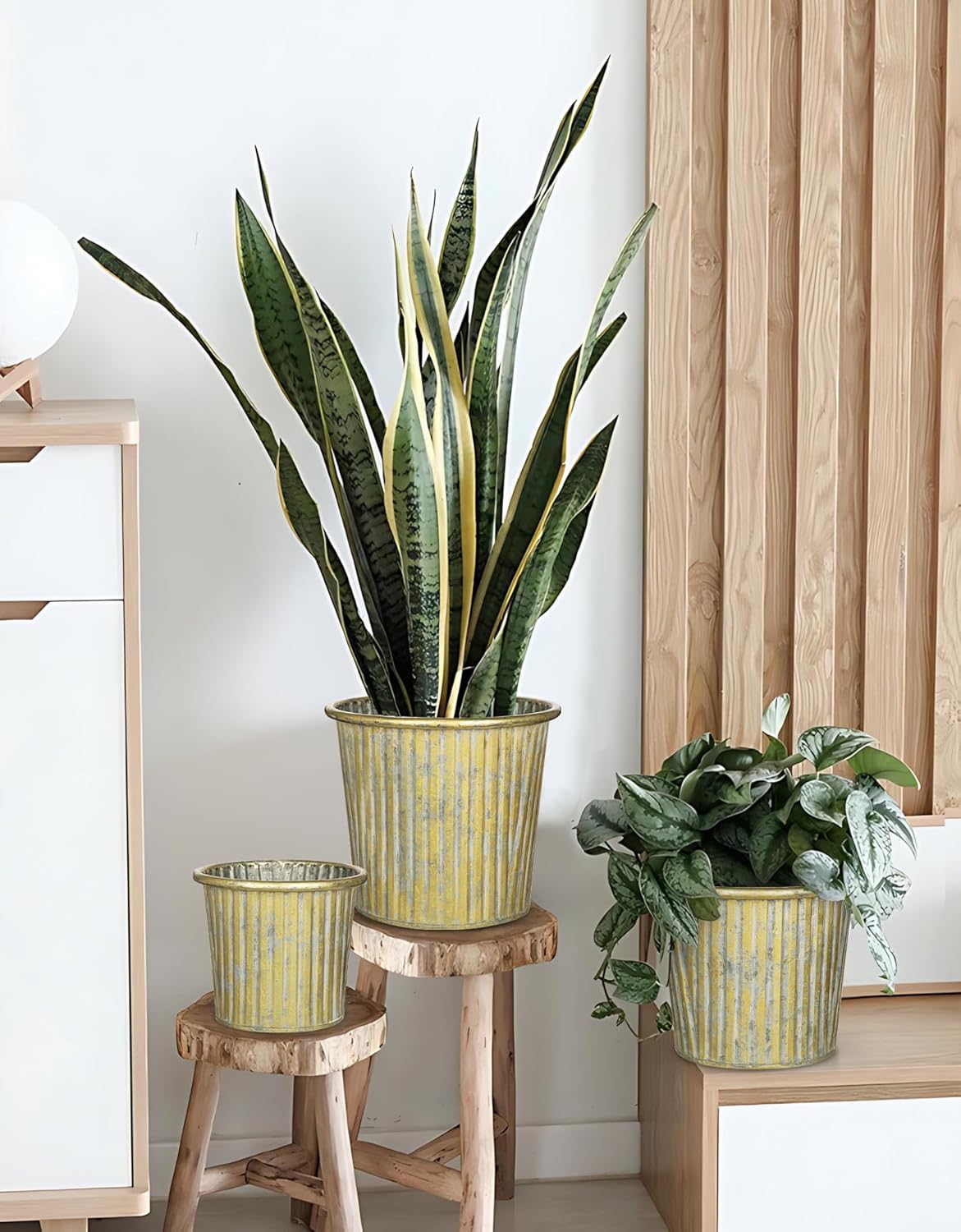 Gold Metal Rustic Flower Pots - 3 PCS Galvanized Planters Rustproof Durable Metal Buckets Plant Pots Vintage-Inspired Charm Rustic for Farmhouse Garden Herb Indoor Outdoor Decor(Dia.5.5"/6.5"/7.1")