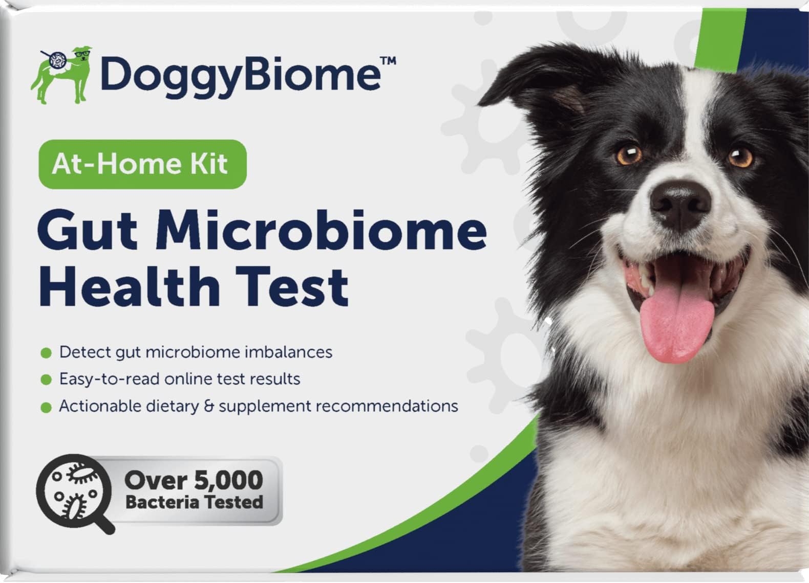 AnimalBiome Dog Gut Health Test – DoggyBiome At Home Stool Testing Kit, Canine Fecal Analysis for Digestive Issues, Diarrhea & Allergy Insights w/Personalized Report & Custom Plan (Dogs in US)