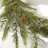 Realistic Look Evergreen Pine Garland with Pinecone Accents by Factory Direct Craft - Wispy Pine Needle Christmas Greenery Garland - Outdoor Holiday Pine Garland