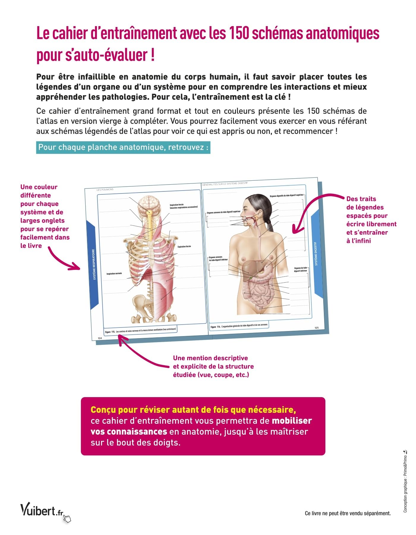 Mon atlas d'anatomie - Etudiants en IFSI: 2 livres dans une pochette : un atlas annoté et un cahier avec 150 illustrations en couleur à légender