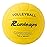 Runleaps Volleyball, Waterproof Indoor Outdoor Volleyball for Beach Game Gym Training (Official Size 5, Yellow)